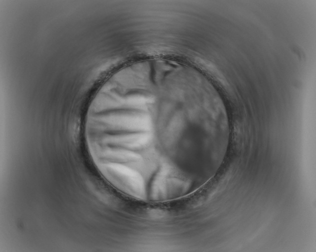 X0000114120592200910191725