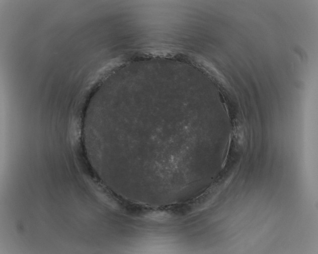 X0000114120593200910191725