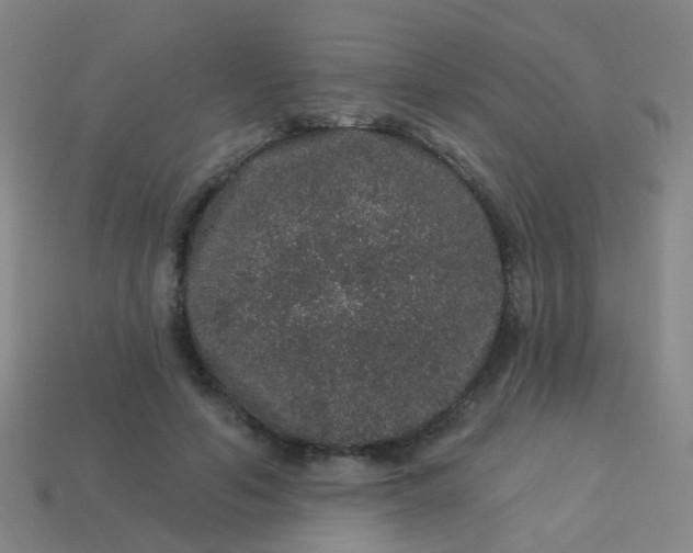 X0000114120594200910191725