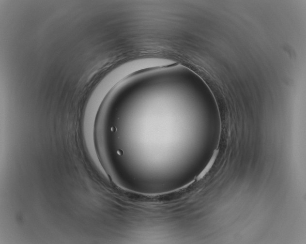 X0000114120595200910191725