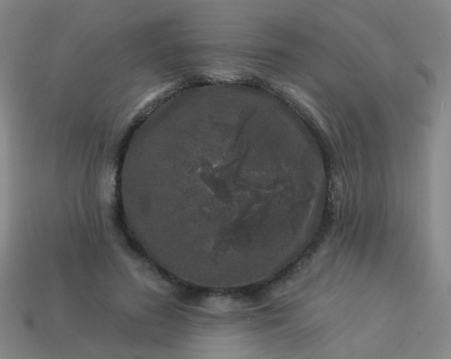 X0000114120596200910191725