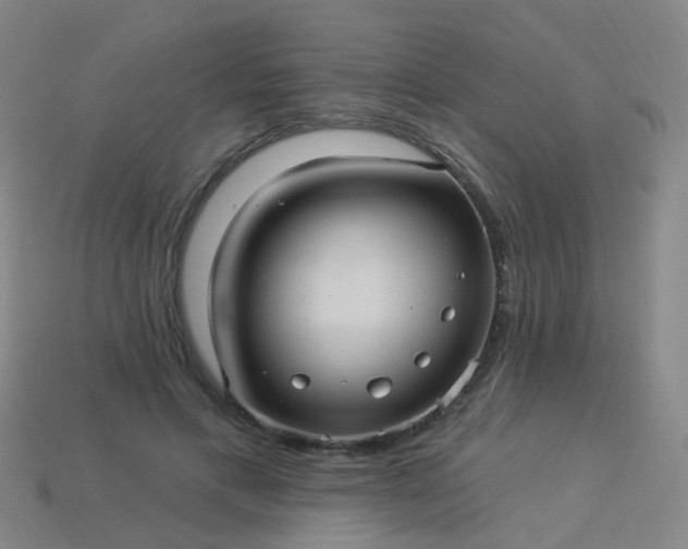 X0000114120597200910191725