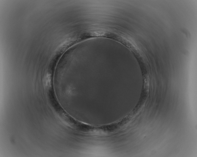 X0000114120598200910191725