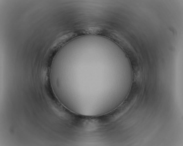 X0000114120599200910191725