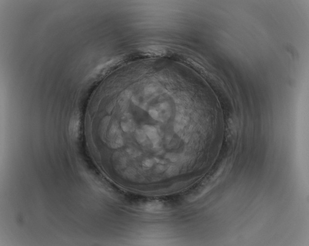 X0000114120600200910191725