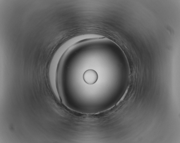 X0000114120601200910191725