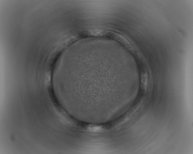 X0000114120602200910191725