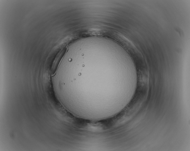 X0000114120603200910191725