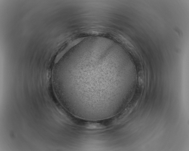 X0000114120605200910191725