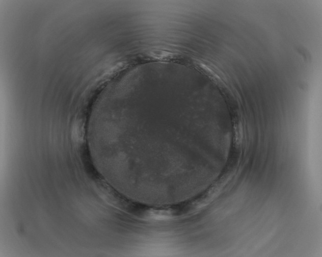 X0000114120606200910191725