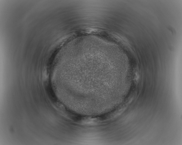 X0000114120607200910191725