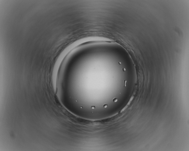 X0000114120609200910191725