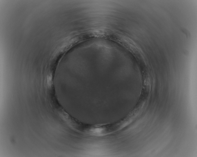 X0000114120610200910191725