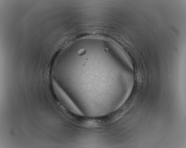 X0000114120611200910191725