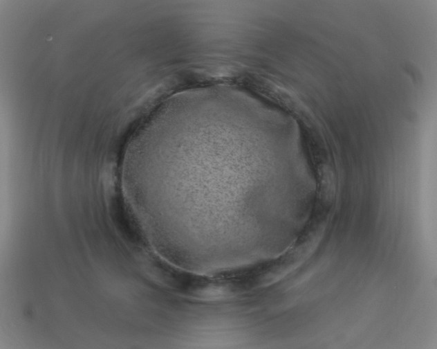 X0000114120612200910191725