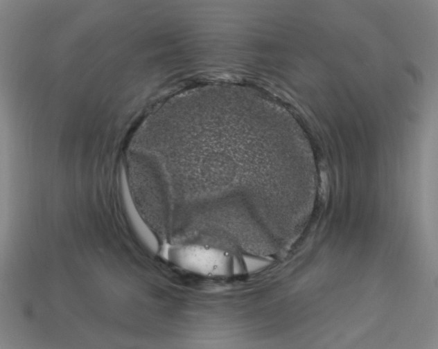 X0000114120613200910191724