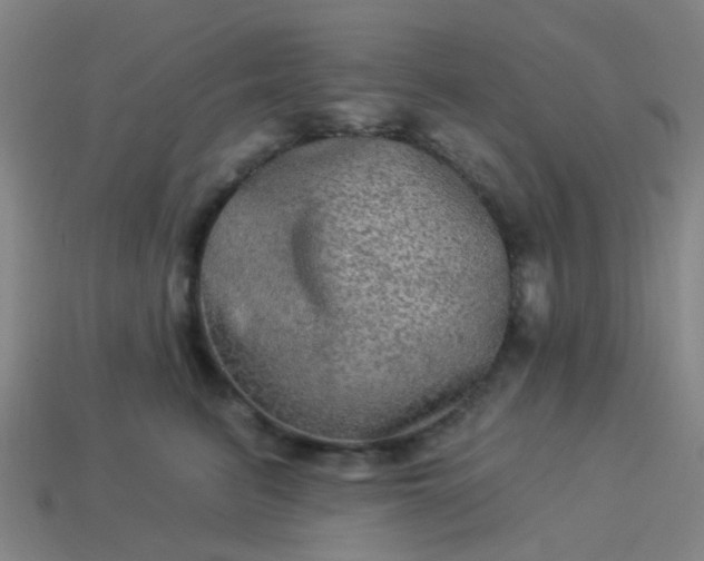 X0000114120615200910191724