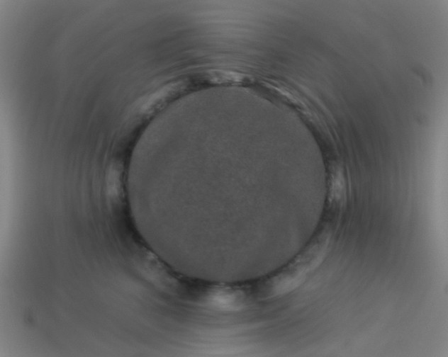 X0000114120616200910191724