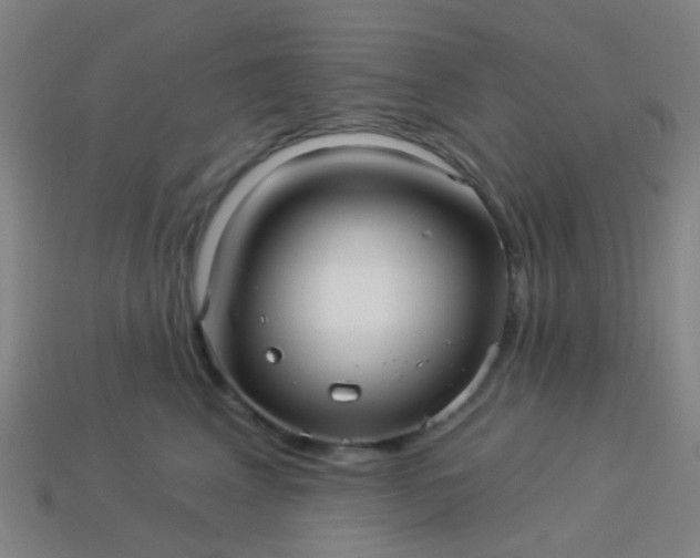 X0000114120617200910191724