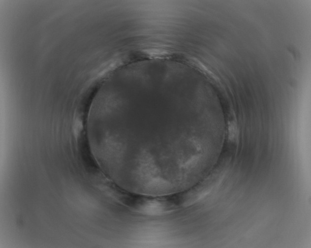 X0000114120618200910191724