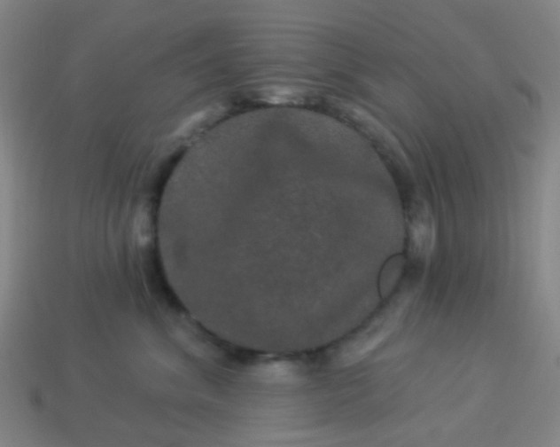 X0000114120620200910191724