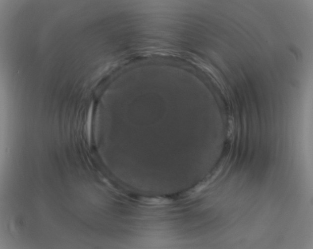 X0000114120621200910191724