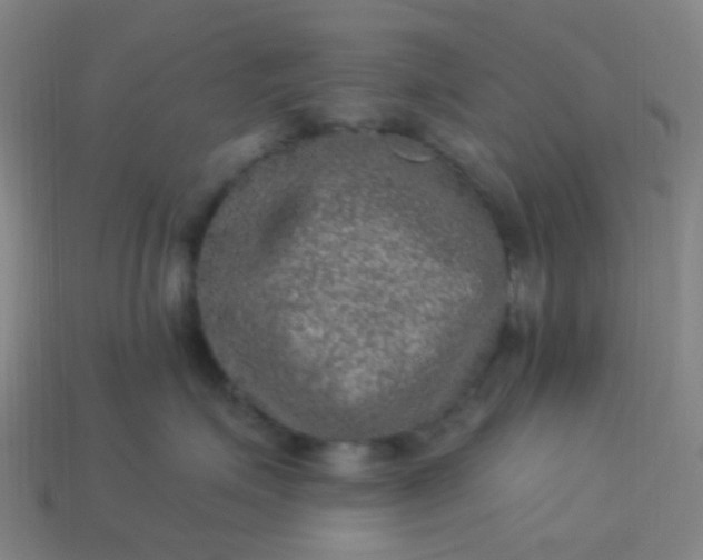 X0000114120623200910191724