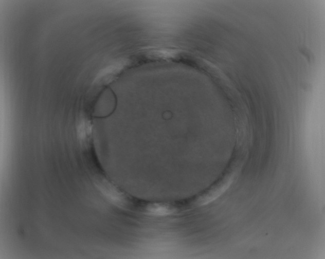 X0000114120624200910191724