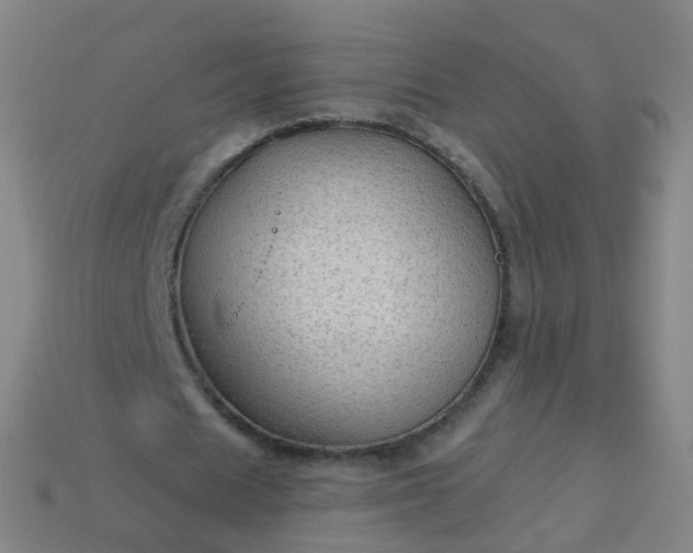 X0000114120625200910191724