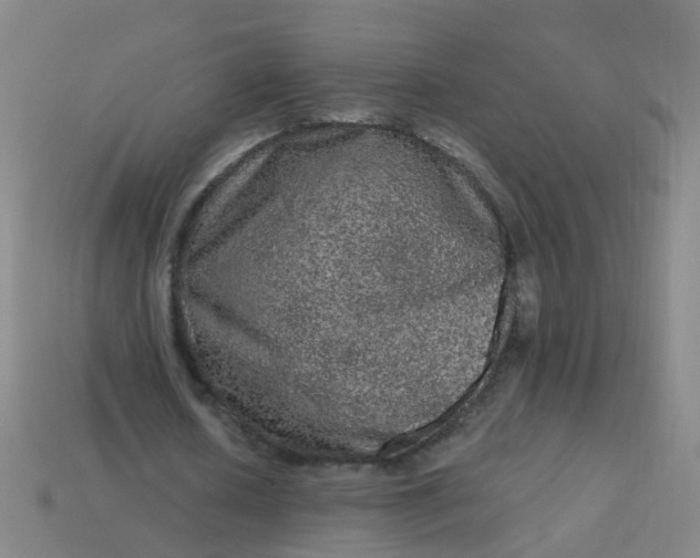 X0000114120626200910191724