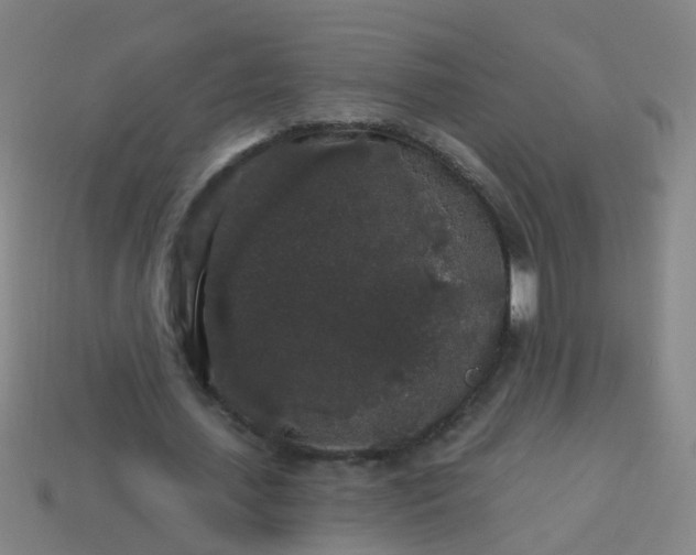 X0000114120627200910191724