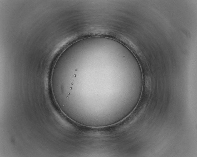 X0000114120629200910191724