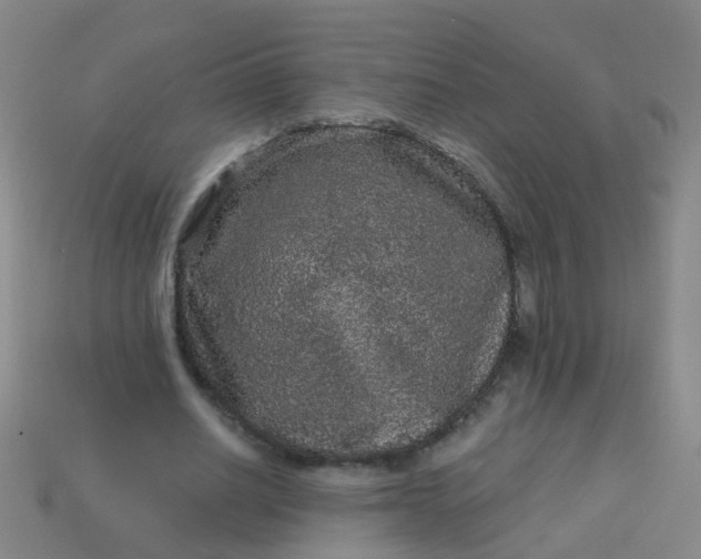 X0000114120630200910191724