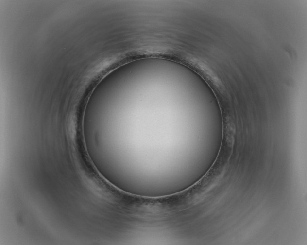 X0000114120631200910191724