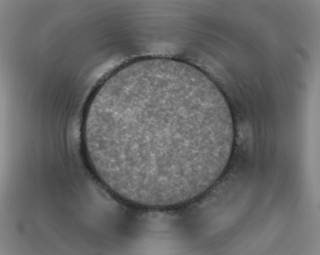 X0000114120632200910191724