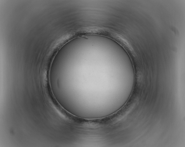 X0000114120633200910191724