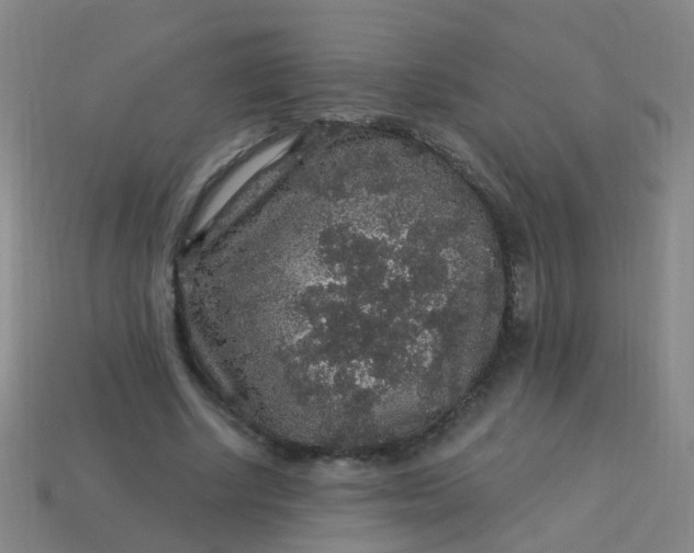 X0000114120634200910191724