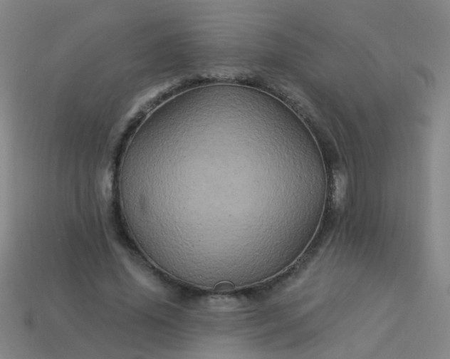 X0000114120636200910191724