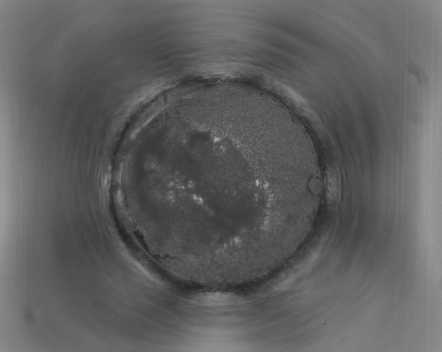 X0000114120637200910191724