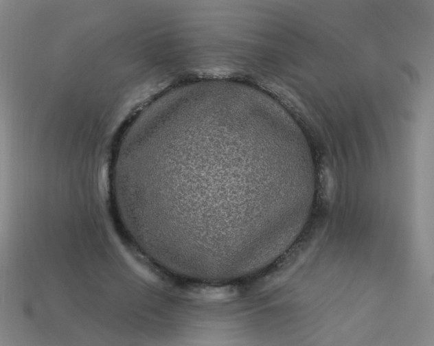 X0000114120638200910191724