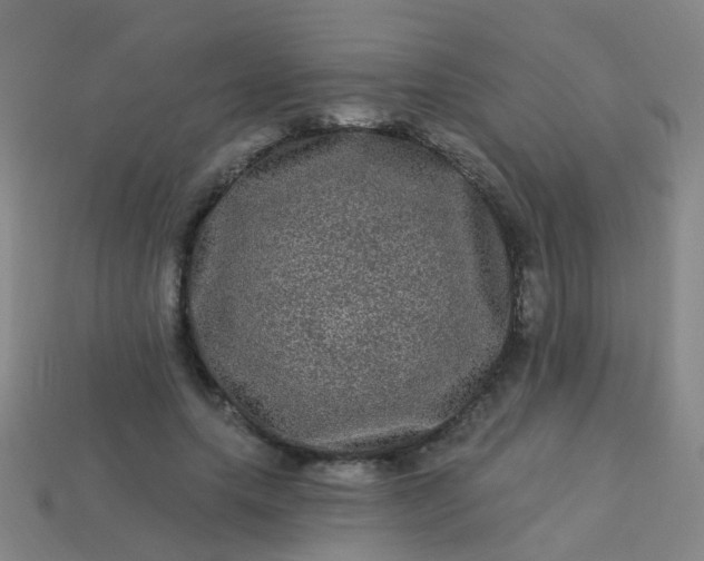 X0000114120639200910191724