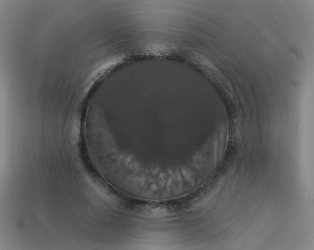 X0000114120640200910191724