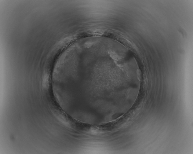 X0000114120641200910191724