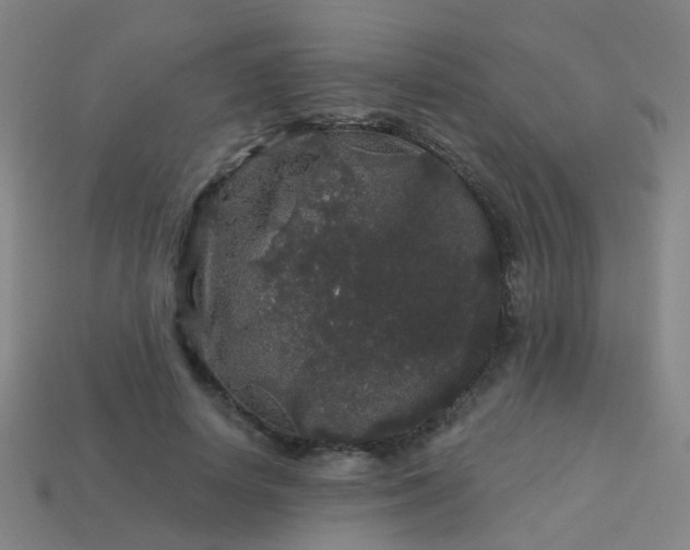 X0000114120642200910191724