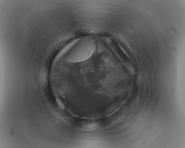 X0000114120643200910191724