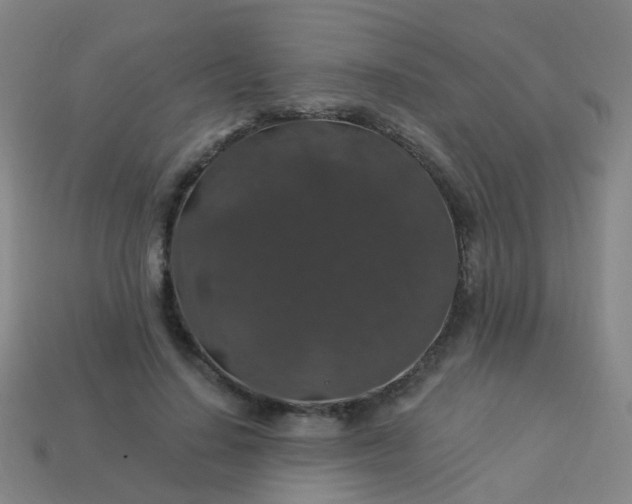 X0000114120644200910191724