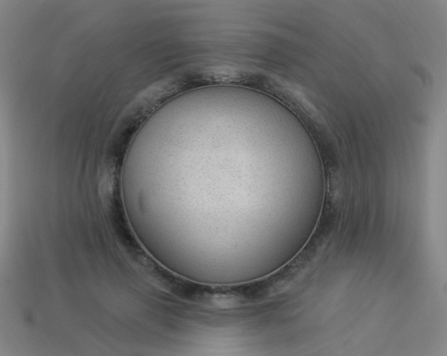 X0000114120645200910191724