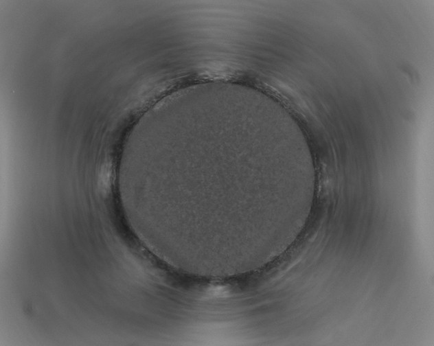 X0000114120647200910191724