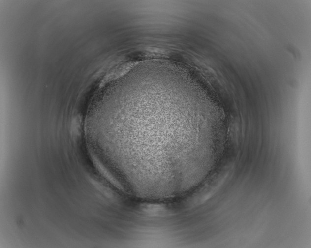 X0000114120649200910191724