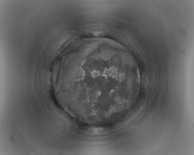 X0000114120650200910191724